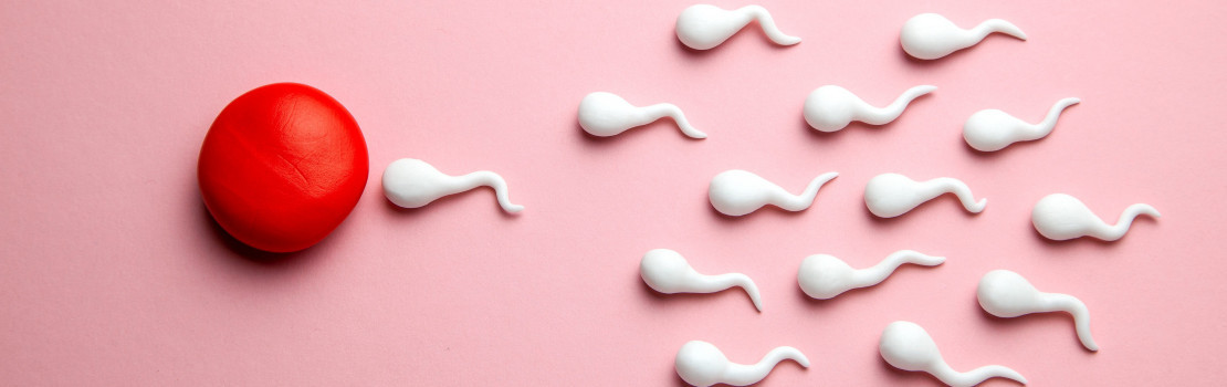 kvalitnejsi-a-rychlejsi-spermie-4-faktory-ktere-to-mohou-ovlivnit